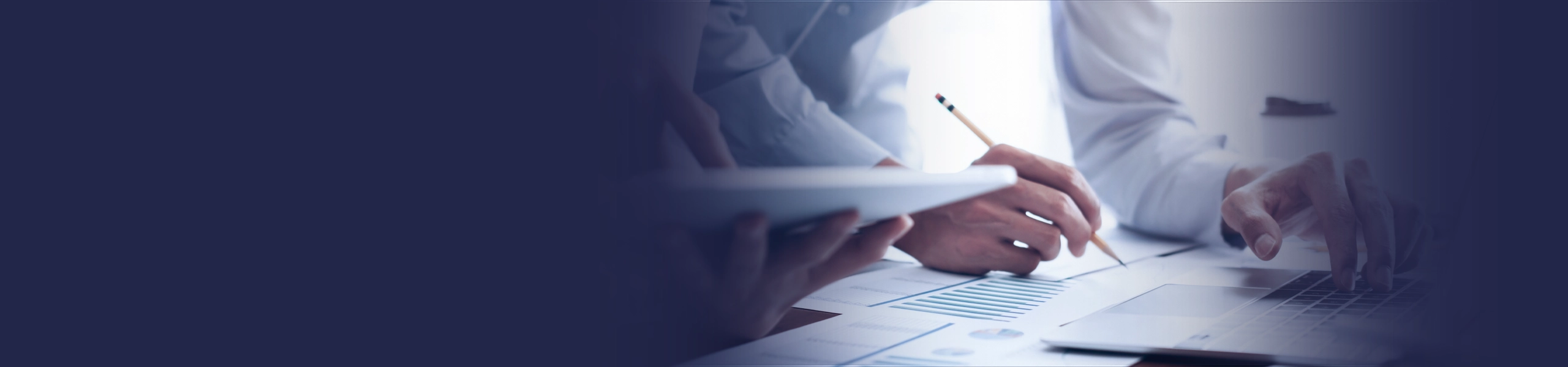 Banner da página Consultorias